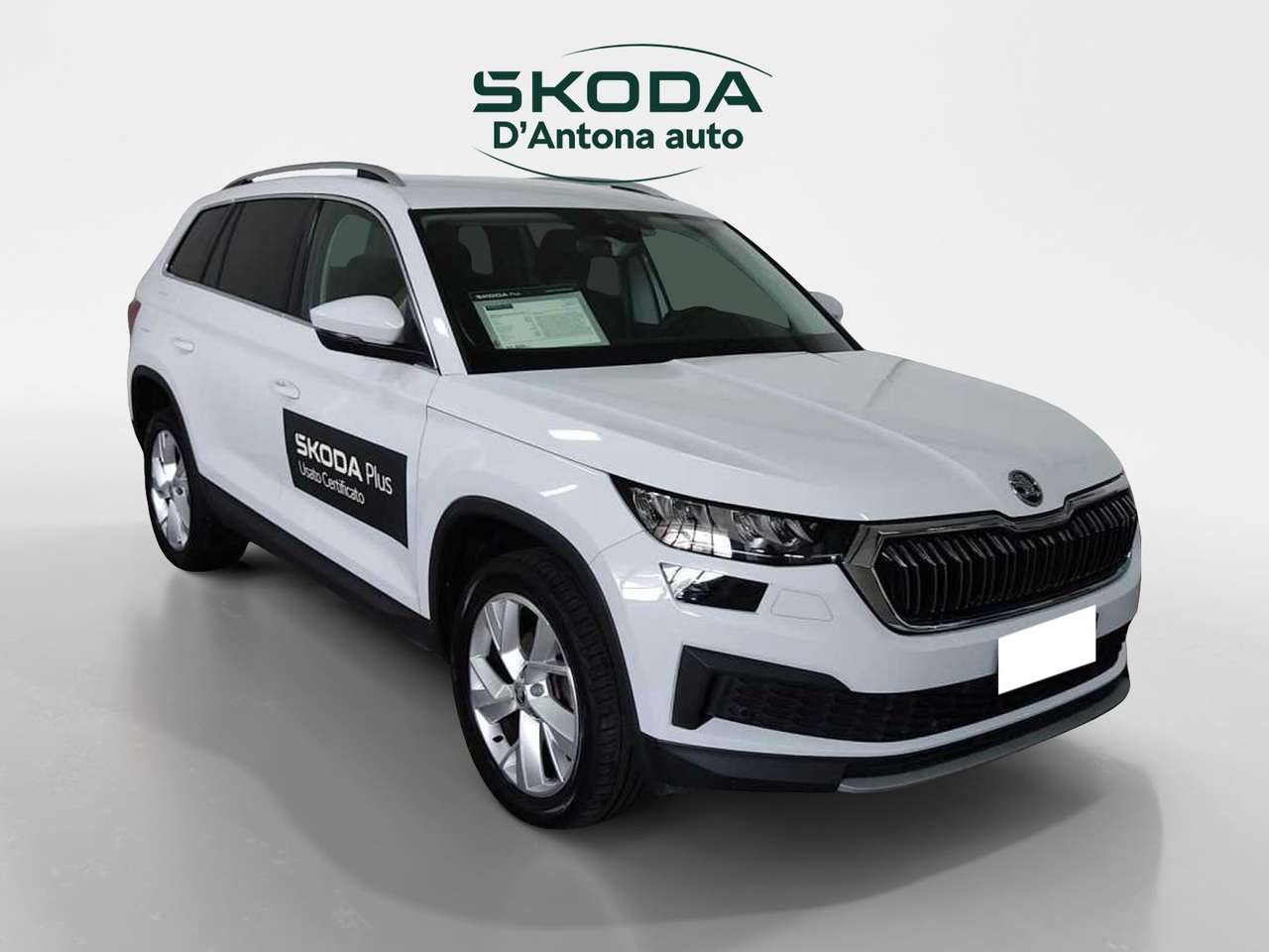 Skoda Kodiaq 1ª serie 2.0 TDI EVO SCR DSG Style