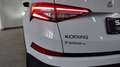 Skoda Kodiaq 1ª serie 2.0 TDI EVO SCR DSG Style Bianco - thumbnail 8