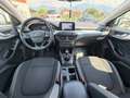 Ford Focus **AHK**ACC** Weiß - thumbnail 14