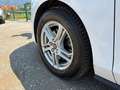 Ford Focus **AHK**ACC** Weiß - thumbnail 9