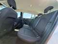 Ford Focus **AHK**ACC** Weiß - thumbnail 13