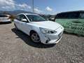 Ford Focus **AHK**ACC** Weiß - thumbnail 1