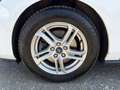 Ford Focus **AHK**ACC** Weiß - thumbnail 26