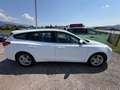 Ford Focus **AHK**ACC** Weiß - thumbnail 2