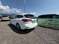Ford Focus **AHK**ACC** Weiß - thumbnail 5