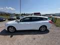 Ford Focus **AHK**ACC** Weiß - thumbnail 6