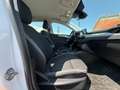 Ford Focus **AHK**ACC** Weiß - thumbnail 12