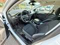 Ford Focus **AHK**ACC** Weiß - thumbnail 10