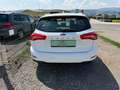 Ford Focus **AHK**ACC** Weiß - thumbnail 4