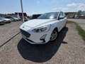 Ford Focus **AHK**ACC** Weiß - thumbnail 7