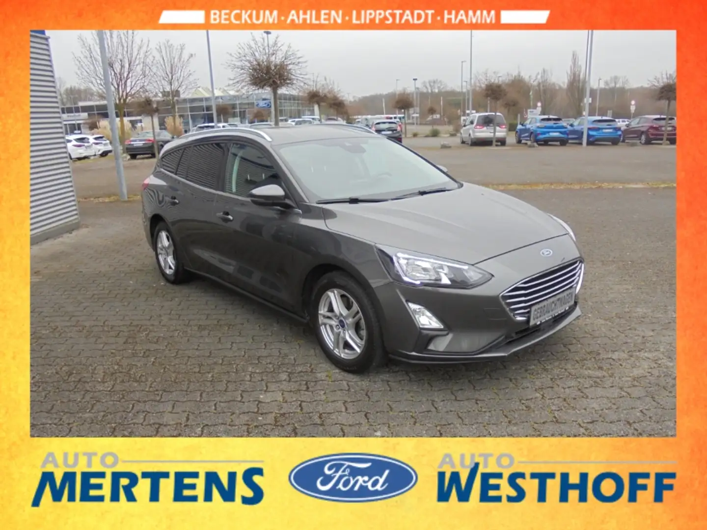 Ford Focus C & C 1.0 Navi Kamera Winter-Paket PDC Grau - 2