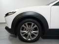 Mazda CX-30 2.0L e-Skyactiv-G M Hybrid 2WD Executive Weiß - thumbnail 6