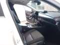 Mazda CX-30 2.0L e-Skyactiv-G M Hybrid 2WD Executive Weiß - thumbnail 9