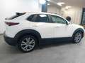 Mazda CX-30 2.0L e-Skyactiv-G M Hybrid 2WD Executive Weiß - thumbnail 4