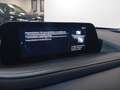 Mazda CX-30 2.0L e-Skyactiv-G M Hybrid 2WD Executive Weiß - thumbnail 15