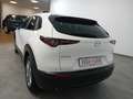 Mazda CX-30 2.0L e-Skyactiv-G M Hybrid 2WD Executive Weiß - thumbnail 5