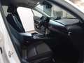 Mazda CX-30 2.0L e-Skyactiv-G M Hybrid 2WD Executive Weiß - thumbnail 10