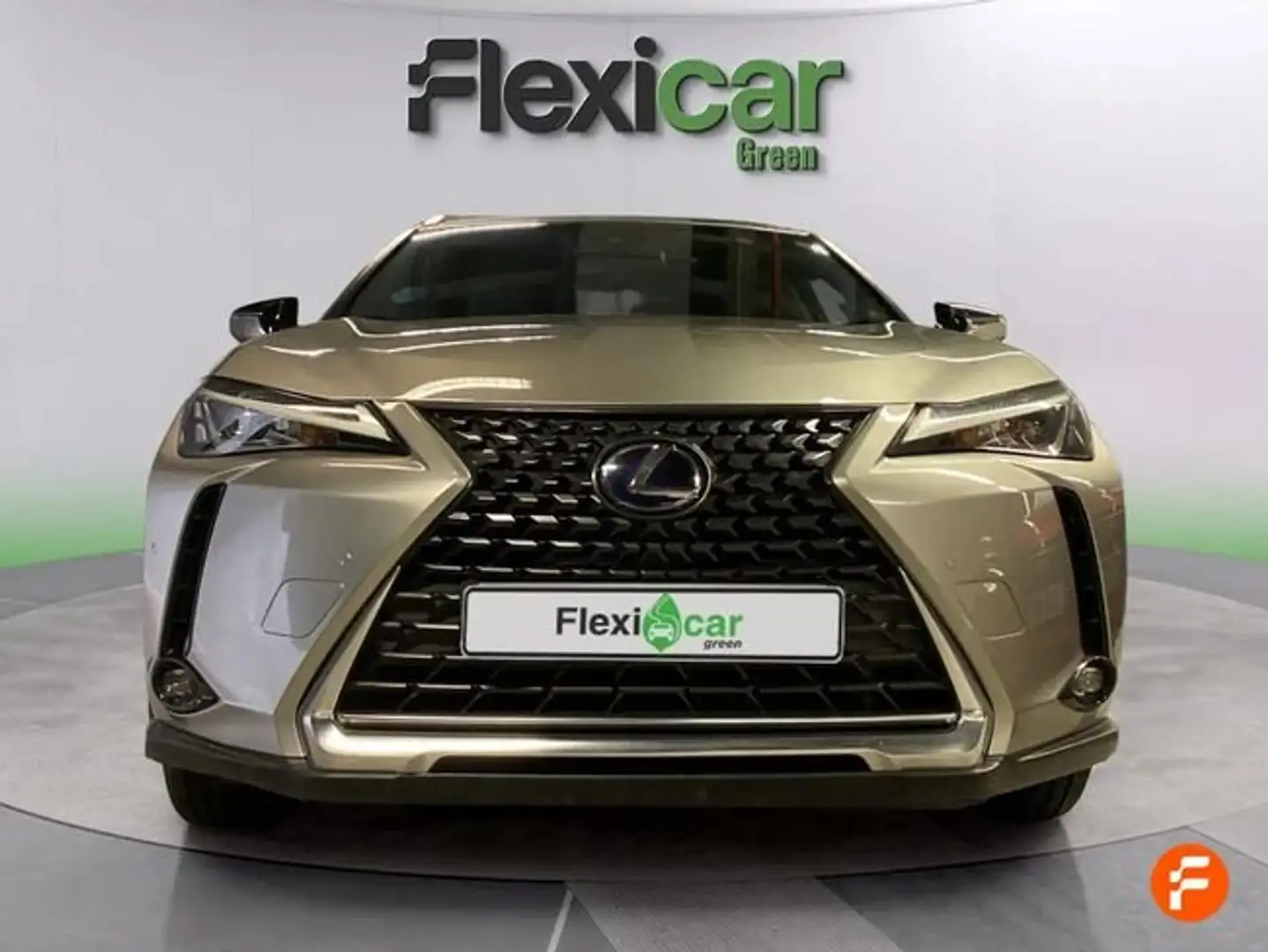 Lexus UX 250h 2.0 Business Gris - 2