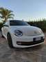 Volkswagen Maggiolino 1.2 tsi Design - thumbnail 1