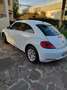 Volkswagen Maggiolino 1.2 tsi Design - thumbnail 4