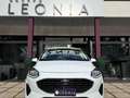 Ford Fiesta 1.1 Titanium 75cv Bianco - thumbnail 2
