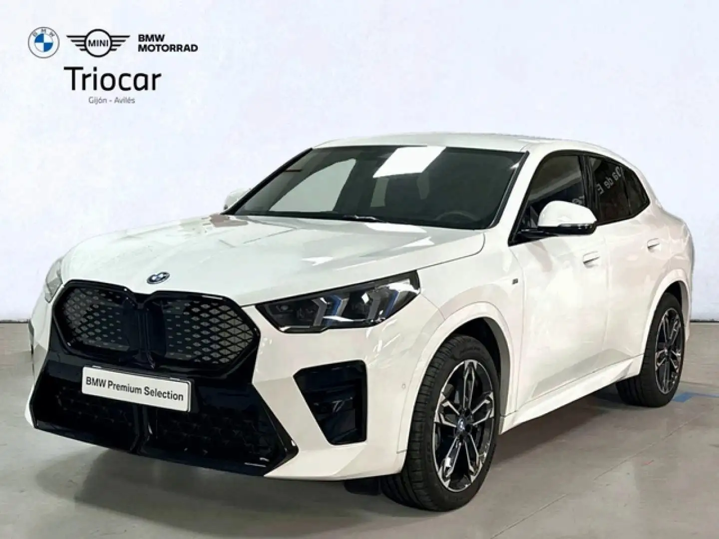 BMW iX2 eDrive20A Blanco - 1