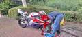 Honda CBR 1000 Fireblade Roşu - thumbnail 5