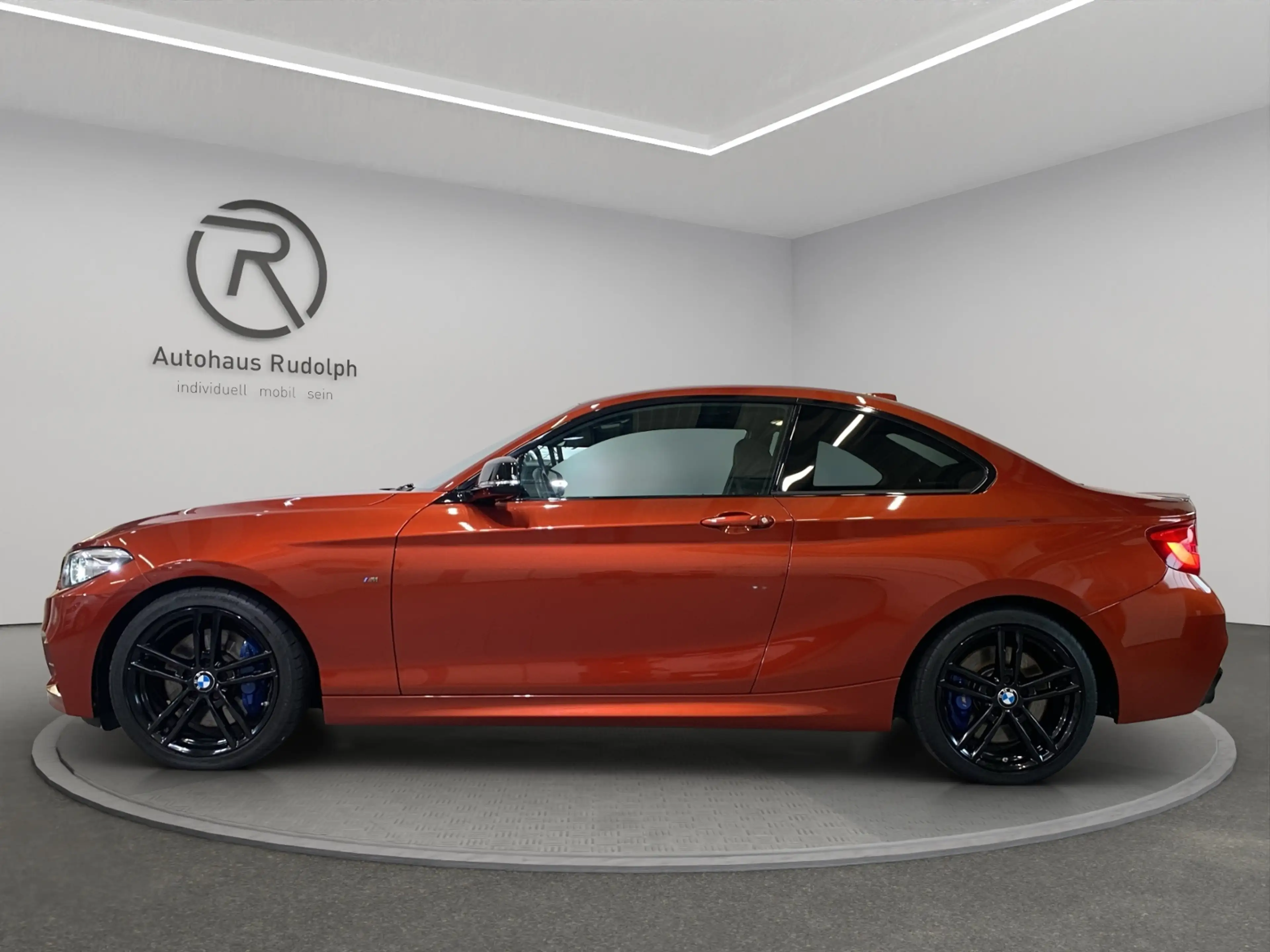 BMW 240 xDrive / Navi LED RFK — photo 15
