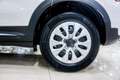 Fiat 500X 500X 1.3 mjt Connect 95cv Nero - thumbnail 9