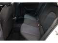 SEAT Ibiza 1.0 TSI Road Edition Alb - thumbnail 15