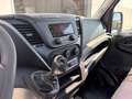 Iveco Daily 35C16 CASSONE + SPONDA IDRAULICA Bianco - thumbnail 8