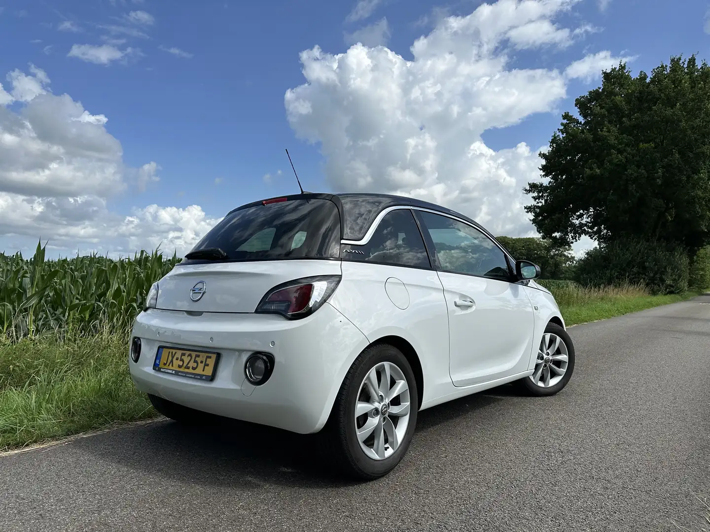 Opel Adam Mooie Opel Adam 1.0 Turbo Jam Fav. Wit - 2