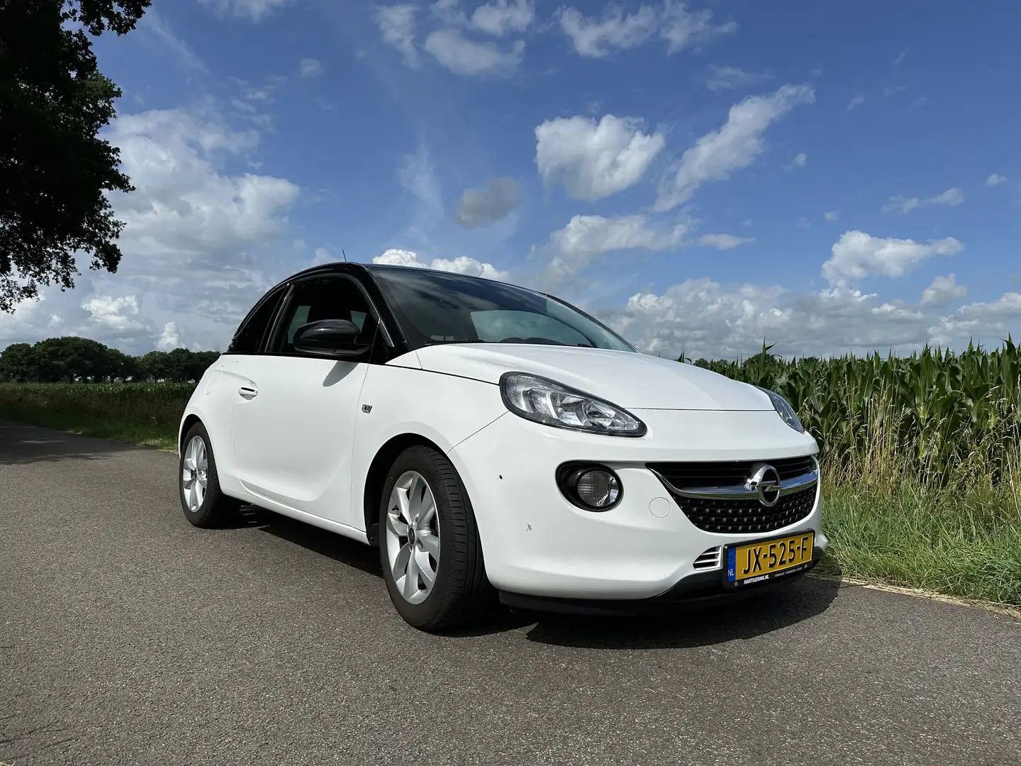 Opel Adam Mooie Opel Adam 1.0 Turbo Jam Fav. Wit - 1