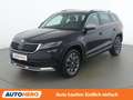 Skoda Kodiaq 2.0 TDI Scout 4x4 Schwarz - thumbnail 1