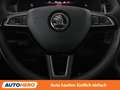 Skoda Kodiaq 2.0 TDI Scout 4x4 Schwarz - thumbnail 19