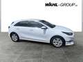 Kia Ceed / cee'd Ceed ULTIMATE 1,5T 140 (NAVI/KAMERA) Weiß - thumbnail 3