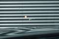 BMW Z4 Roadster sDrive30i BMW Head-Up Display | HiFi Syst Zwart - thumbnail 27
