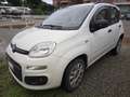 Fiat Panda 0.9 t.air t. natural power Easy 80cv E5+ - thumbnail 7