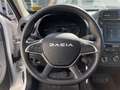 Dacia Spring Extreme 65 Weiß - thumbnail 11
