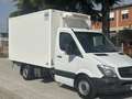 Mercedes-Benz Sprinter Mercedes sprinter FRIGO motore nuovo - thumbnail 4