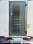 Mercedes-Benz Sprinter Mercedes sprinter FRIGO motore nuovo - thumbnail 11