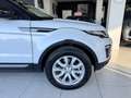 Land Rover Range Rover Evoque 2.0 td4 SE Dynamic 150cv auto BI-COLOR Bianco - thumbnail 7
