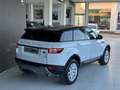 Land Rover Range Rover Evoque 2.0 td4 SE Dynamic 150cv auto BI-COLOR Bianco - thumbnail 6
