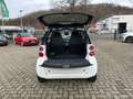 smart forTwo MHD 52 kW KLIMA Servo SHZ Temp NAV Touch Белый - thumbnail 8