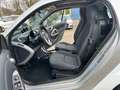 smart forTwo MHD 52 kW KLIMA Servo SHZ Temp NAV Touch Белый - thumbnail 10