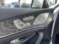 Mercedes-Benz CLS 450 CLS 450 4MATIC AVANTGARDE*AMG*COMAND*360CAM* Argent - thumbnail 10