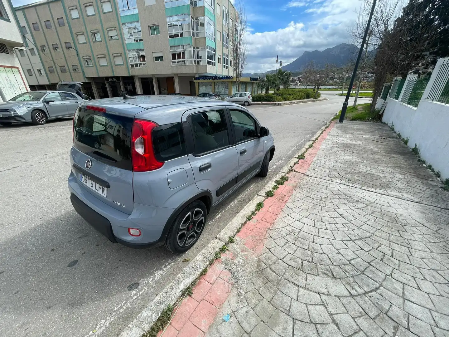 Fiat Panda 1.2 Gasolina/GLP Lounge Gris - 2