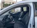 Ford Focus 1.5 EcoBlue 120CV SW Business Bianco - thumbnail 13