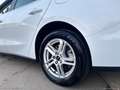 Ford Focus 1.5 EcoBlue 120CV SW Business Bianco - thumbnail 7