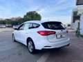 Ford Focus 1.5 EcoBlue 120CV SW Business Bianco - thumbnail 6